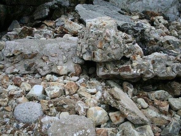 Dikkatli baksanız da bu keskin nişancıları göremezsiniz 5