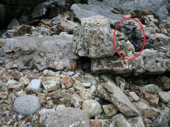 Dikkatli baksanız da bu keskin nişancıları göremezsiniz 6