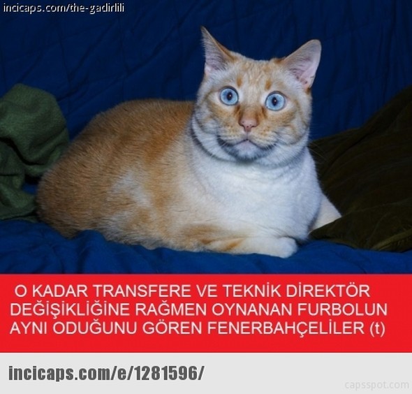 F.Bahçe yenilince Pereira 10