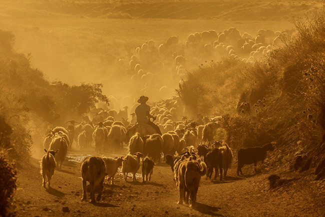 Gündüz geceye kavuşurken: Nemrut 23