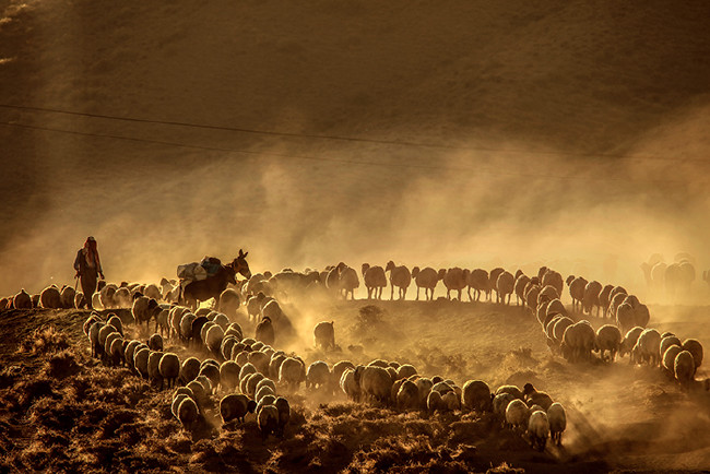 Gündüz geceye kavuşurken: Nemrut 24