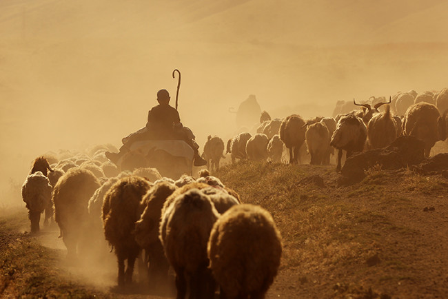 Gündüz geceye kavuşurken: Nemrut 26