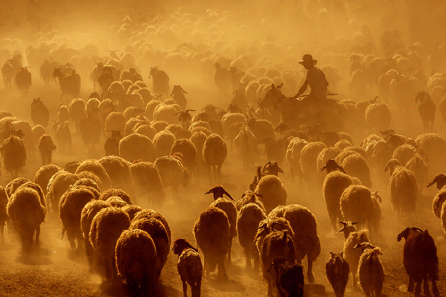Gündüz geceye kavuşurken: Nemrut 27