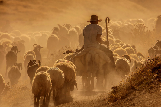 Gündüz geceye kavuşurken: Nemrut 28