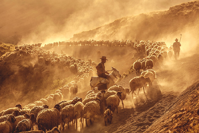 Gündüz geceye kavuşurken: Nemrut 29