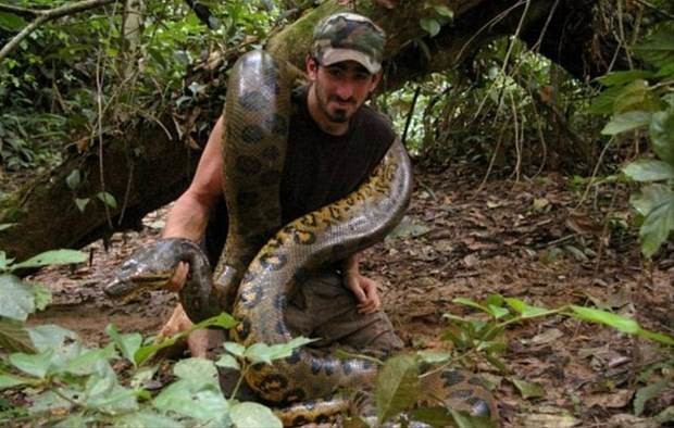 Anakondanın midesinde yolculuk 15