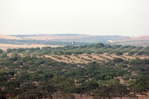 Dünya bu fotoğraflarla gördü... 34