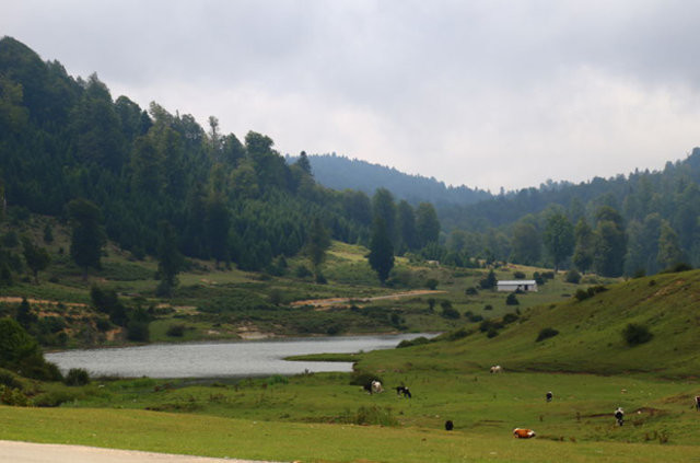Adil Öksüz ile bağlantısı olduğu tespit edilen 5 kişi gözaltına alındı 14