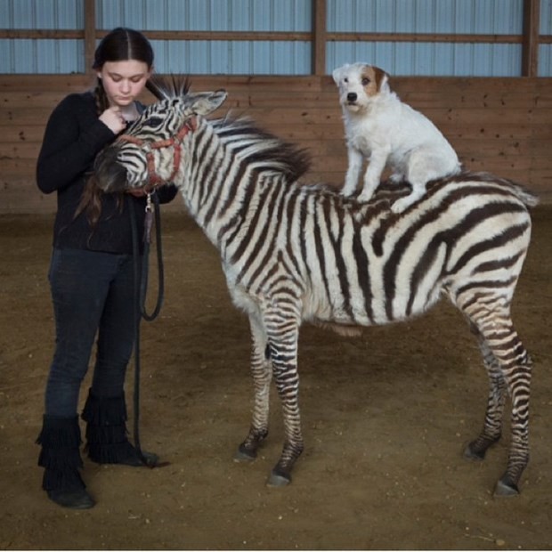 İşte hayvanlarla büyüyen tarzan kız 17