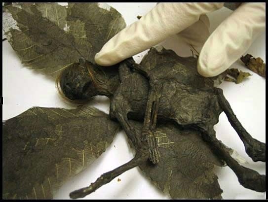 İnternette her gördüğünüze inanmayın 6