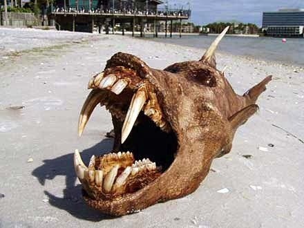 İnternette her gördüğünüze inanmayın 7