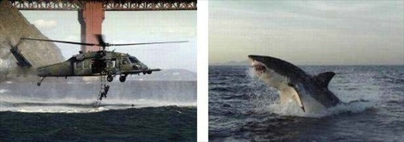 İnternette her gördüğünüze inanmayın 14