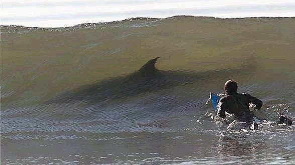İnternette her gördüğünüze inanmayın 17