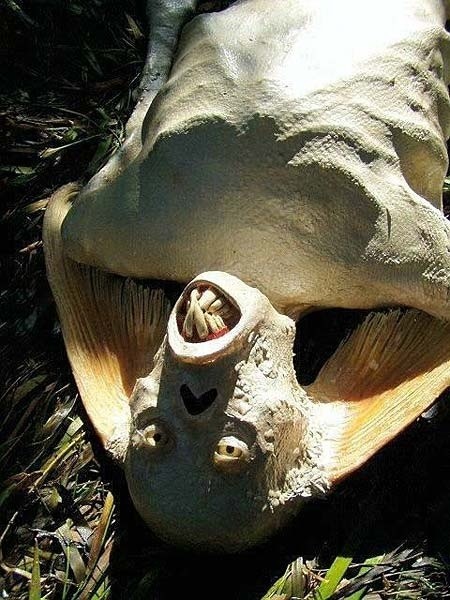 İnternette her gördüğünüze inanmayın 24