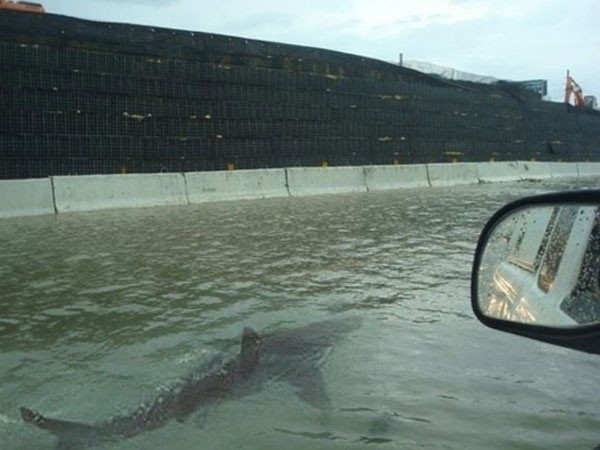 İnternette her gördüğünüze inanmayın 2