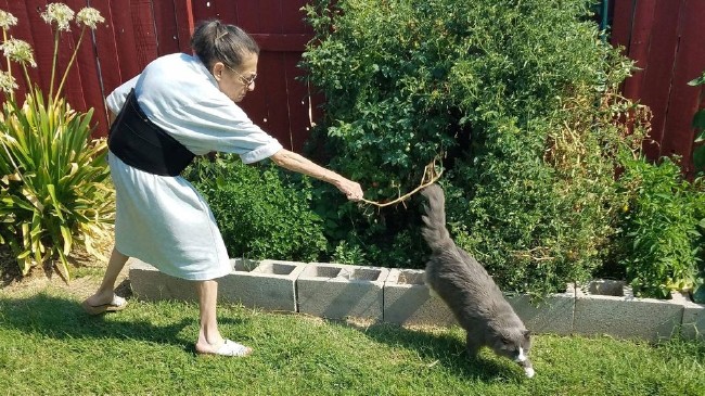 Photoshop'un son kurbanı Kedi kovalayan nine 1