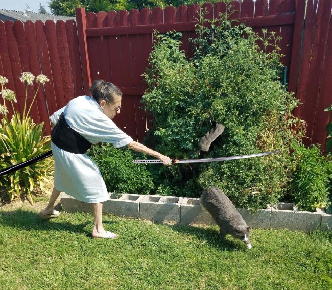 Photoshop'un son kurbanı Kedi kovalayan nine 10