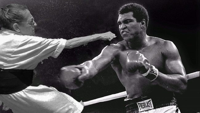 Photoshop'un son kurbanı Kedi kovalayan nine 2