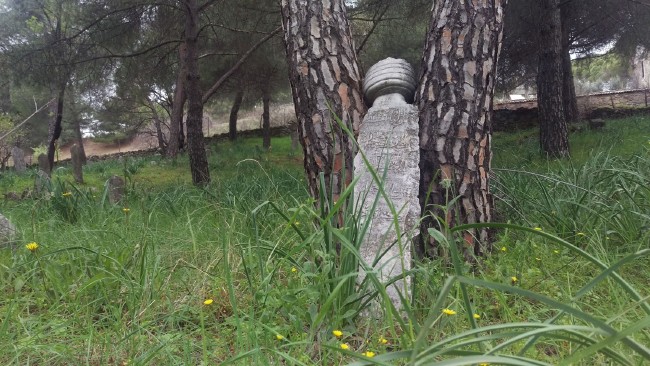 Bu köyde ev fiyatları İstanbul Boğazı'ndaki yalılarla yarışıyor 14