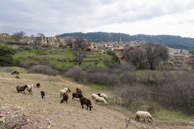 Bu köyde ev fiyatları İstanbul Boğazı'ndaki yalılarla yarışıyor 6