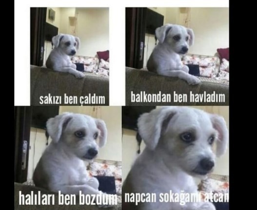 Sosyal medyanın son akımı 'Napcan' 11