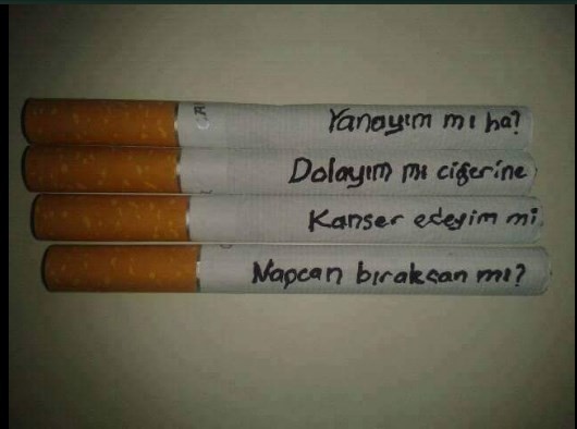 Sosyal medyanın son akımı 'Napcan' 7