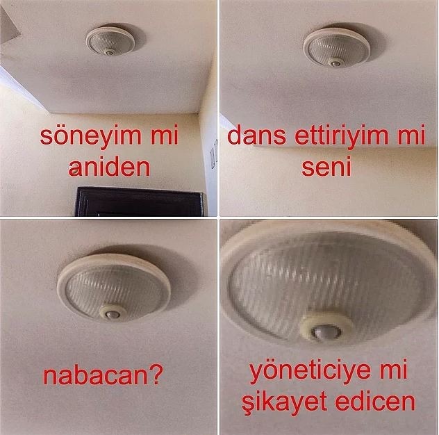 Sosyal medyanın son akımı 'Napcan' 29