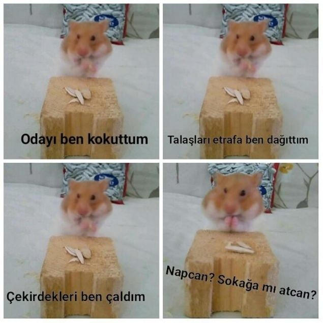 Sosyal medyanın son akımı 'Napcan' 40