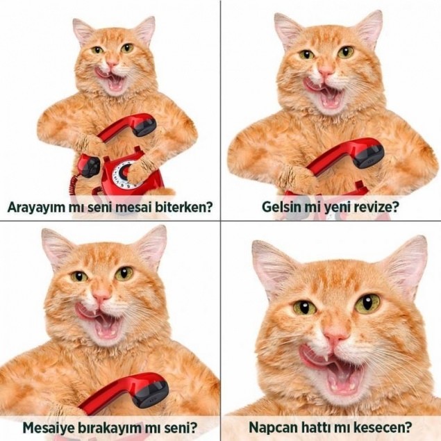 Sosyal medyanın son akımı 'Napcan' 41