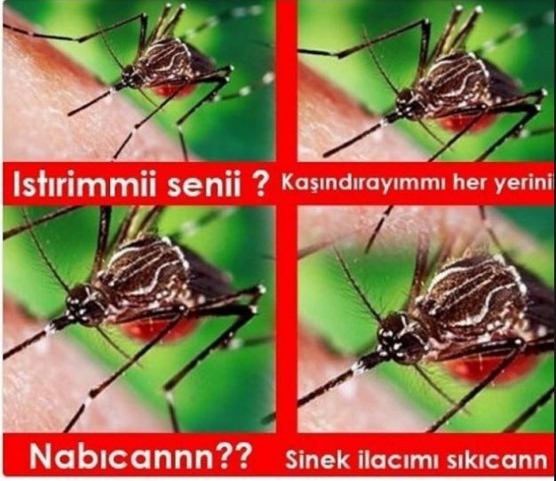 Sosyal medyanın son akımı 'Napcan' 34