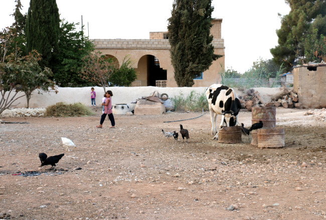Türk gazeteciler TSK'nın desteği ile Cerablus'a girdi 26