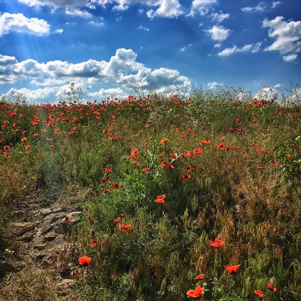Türkiye'nin denizi olmayan en güzel köyleri 3