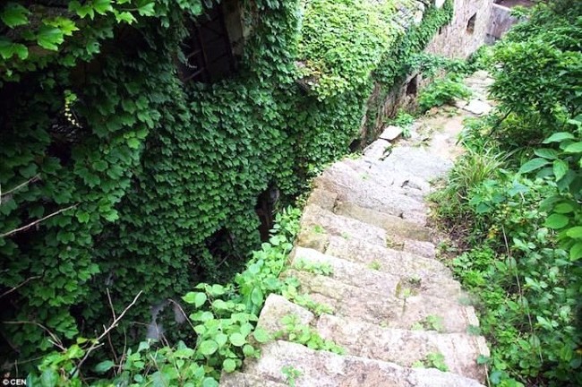 Terk edilmiş köyü doğa ele geçirdi 10