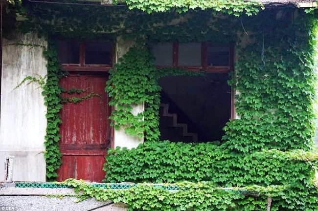 Terk edilmiş köyü doğa ele geçirdi 11