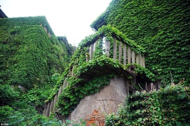 Terk edilmiş köyü doğa ele geçirdi 15