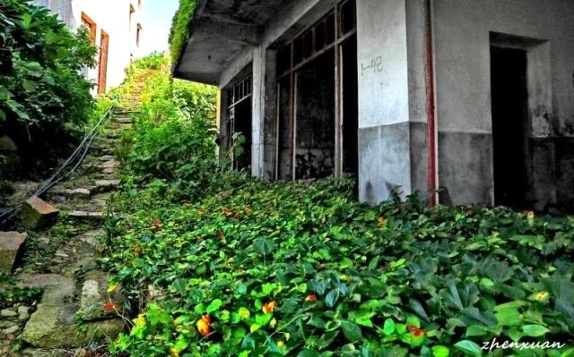 Terk edilmiş köyü doğa ele geçirdi 2