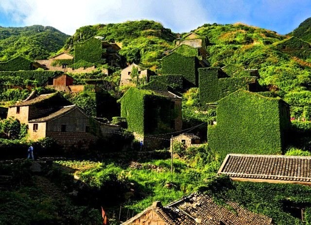 Terk edilmiş köyü doğa ele geçirdi 6