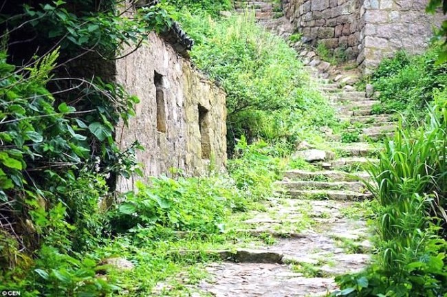 Terk edilmiş köyü doğa ele geçirdi 8