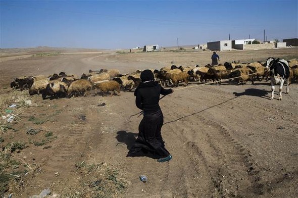 IŞİD sınırdan atıldı, Azez-Cerablus birleşti 53