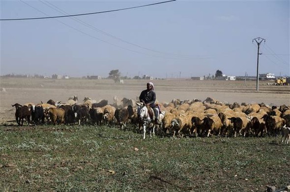 IŞİD sınırdan atıldı, Azez-Cerablus birleşti 36