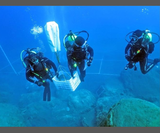 Dünyanın en zengin tabak batığı Antalya'da 11