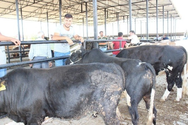 Kurban nasıl kesilir nelere dikkat edilmeli? 15