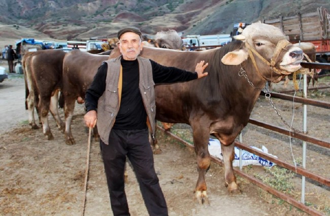 Kurban nasıl kesilir nelere dikkat edilmeli? 28