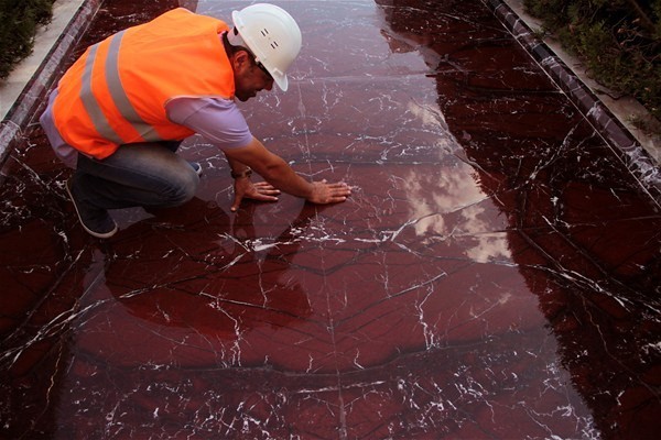 Türkiye'de sadece Elazığ'da çıkarılıyor 13