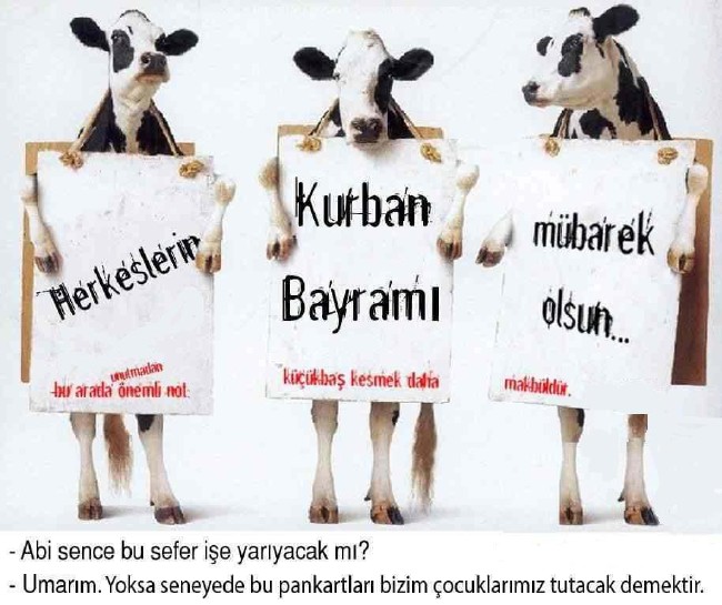 En güzel Kurban Bayramı resimleri ve görselleri