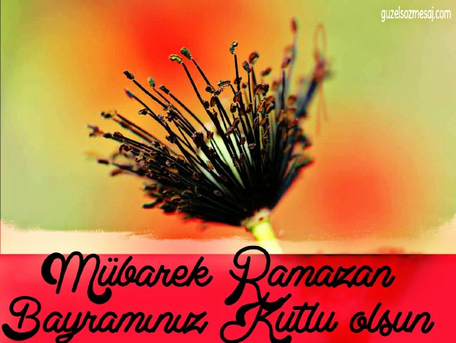 En güzel Kurban Bayramı resimleri ve görselleri 40