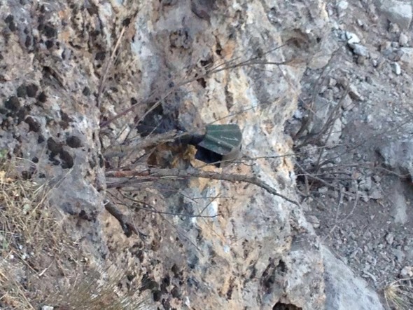 Çukurca'dan ilk fotoğraflar geldi 14