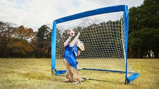 Şaka değil, özürlü hiç değil! 22