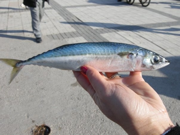 Hamilelerin uzak durması gereken 15 besin 2