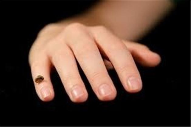 Tırnak şekline göre insan kişiliği 2